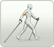 walker